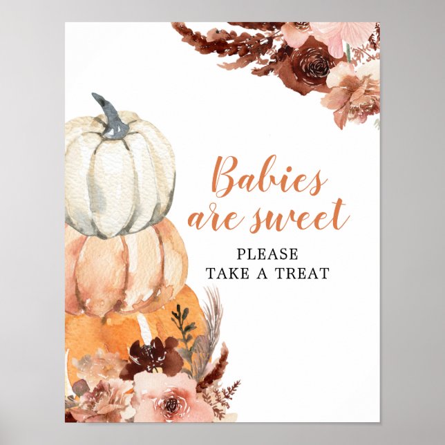 Rustic Boho Pumpkin Babies are Sweet Baby Shower Poster (Front)