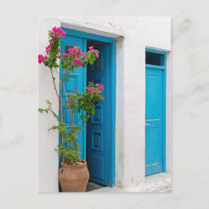 Rustic Bougainvillea Greek Door Postcard