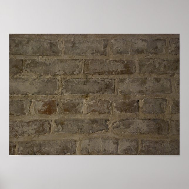 Rustic Brick Wall Poster (Front)