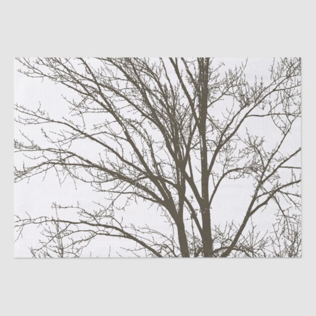 Rustic Brown Tree Branches Tissue Paper (Front)