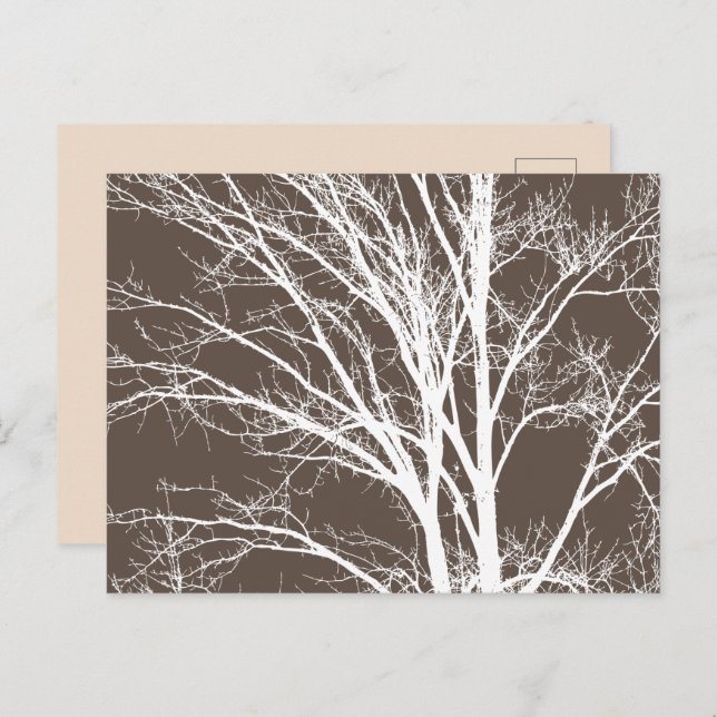 Rustic Brown White Tree Branches Postcard (Front/Back)