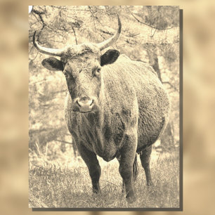 Rustic Bull Cabin Decor Decoupage Tissue Paper