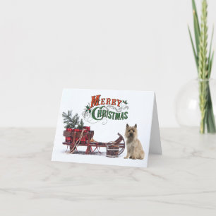 Rustic Cairn Terrier Christmas Holiday Card