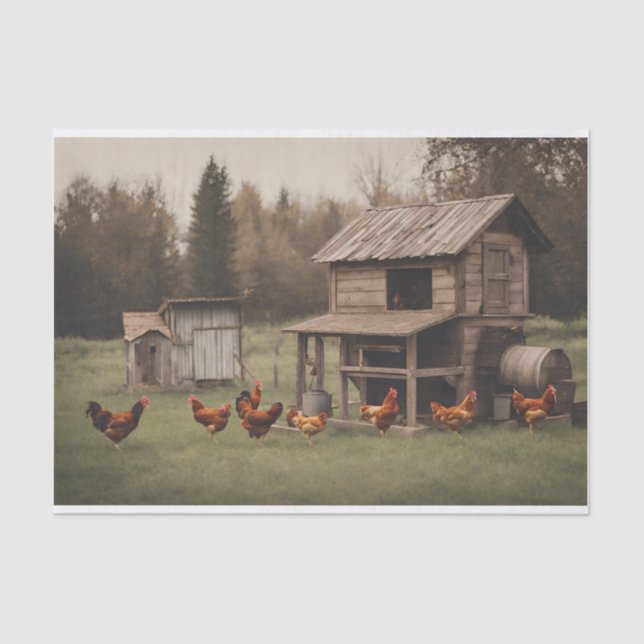 Rustic Chicken  Decoupage 10lbs Tissue Paper (Front)