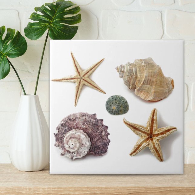 rustic coastal  beach chic seashell starfish tile (rustic coastal beach chic seashell starfish ceramic tile)