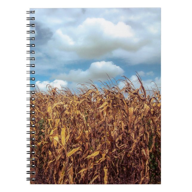 Rustic Cornfield and Dramatic Blue Sky Notebook (Front)