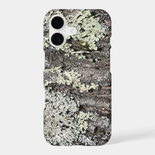 Rustic Country Nature Mossy Bark Oak Tree Photo