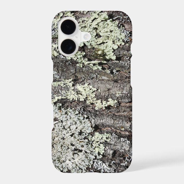 Rustic Country Nature Mossy Bark Oak Tree Photo (Back)