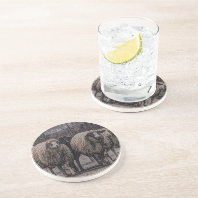 Rustic country road ranch farm herd of sheep coaster (Side)