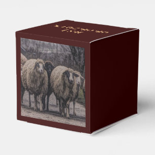 Rustic country road ranch farm herd of sheep favor box