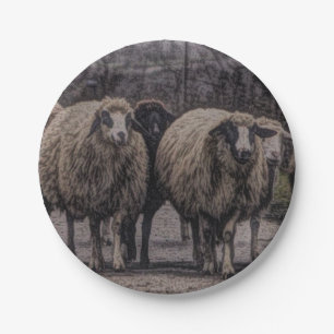 Rustic country road ranch farm herd of sheep paper plate