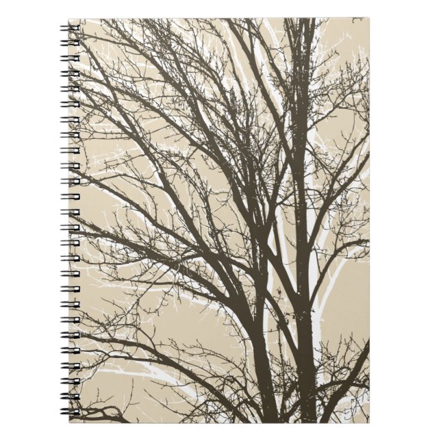 Rustic cream brown white tree branches  notebook (Front)