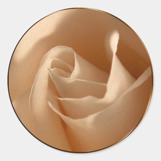 Rustic Cream Rose Wedding Envelope Seal (Front)