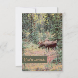 Rustic customizable moose wedding invitations