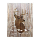rustic deer the hunt is over wedding save the date