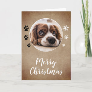 Rustic Dog Name Photo Merry Christmas Family Holiday Card
