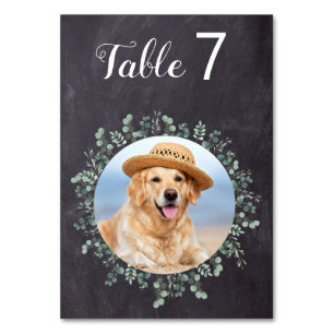 Rustic Eucalyptus Chalkboard Dog Photo Pet Wedding Table Number