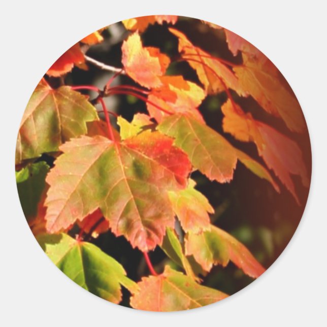 Rustic Fall In Love Wedding Envelope Seal Sticker (Front)