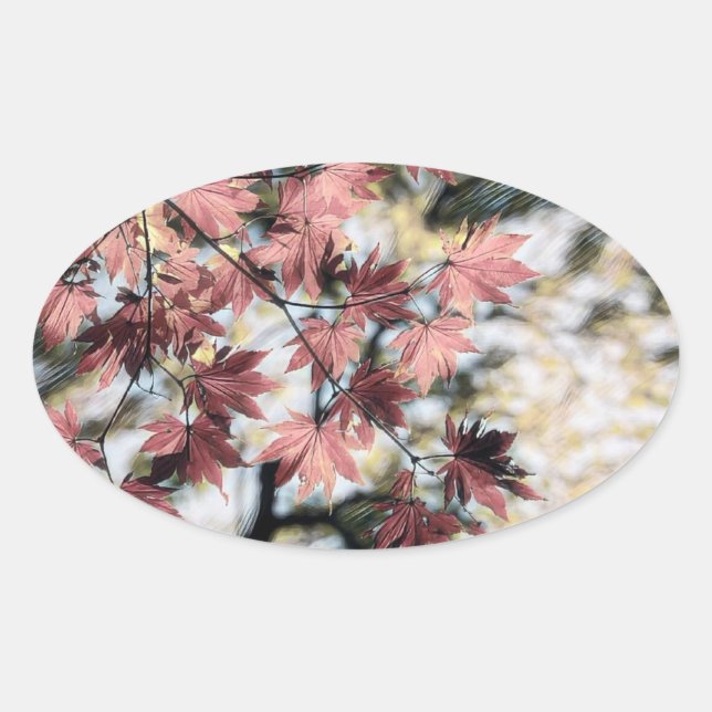 Rustic fall maple leaves rusty red pink brown oval sticker (Front)
