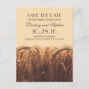 Rustic fall save the date postcards with wheat