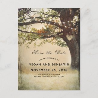 Rustic Fall Tree and Twinkle Lights Save the Date Announcement Postcard