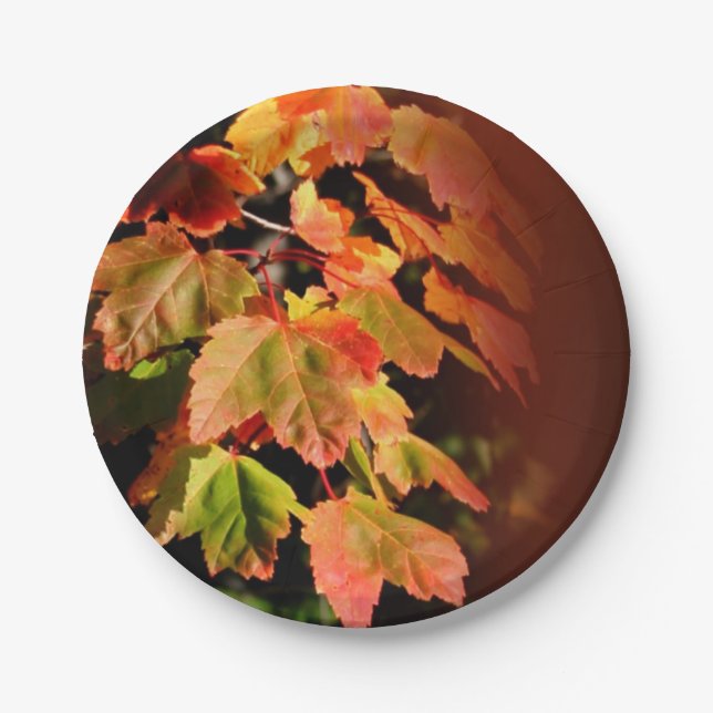 Rustic Fall Wedding Autumn Foliage Photo Leaves Paper Plate (Front)