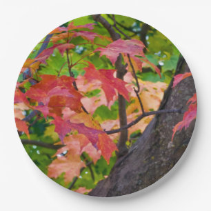 Rustic Fall Wedding Colours Autumn Foliage Photo Paper Plate