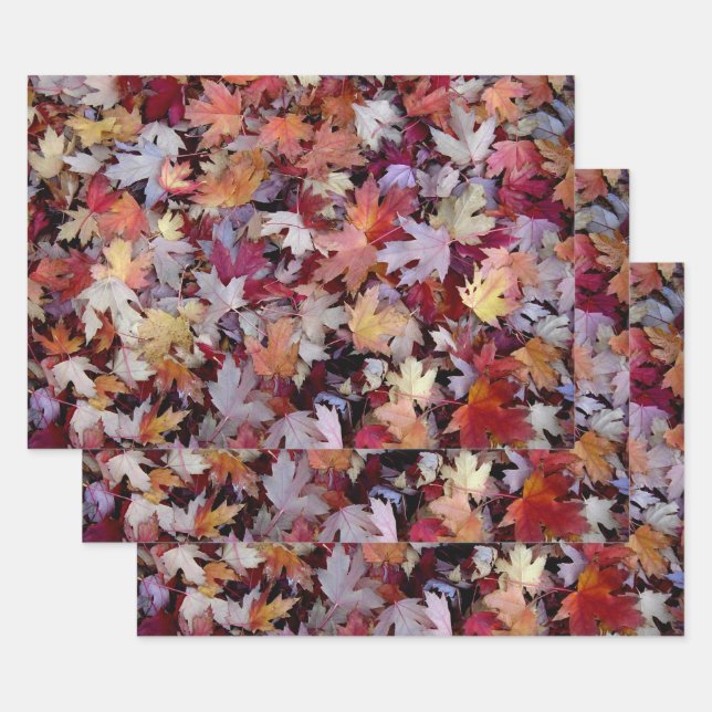 Rustic Fallen Autumn Tree Leaves Pattern Wrapping Paper Sheet (Set)