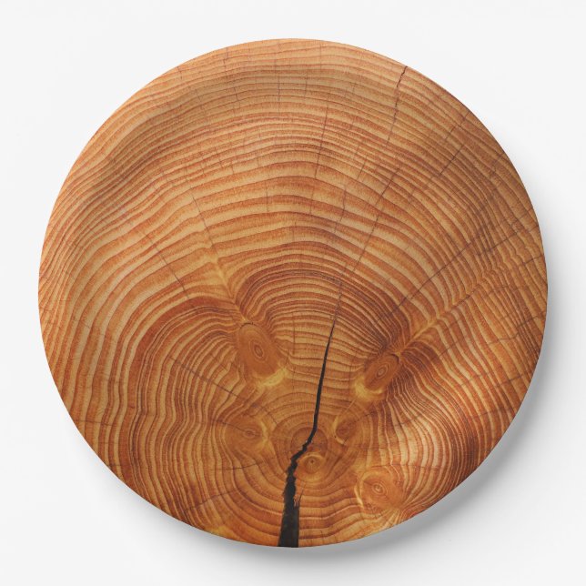 Rustic Faux Wood Grain Disposable Paper Plates (Front)
