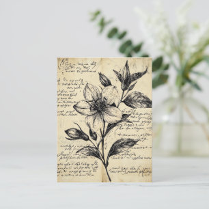 Rustic Floral Sketch with Calligraphy - Aged (5) Postcard