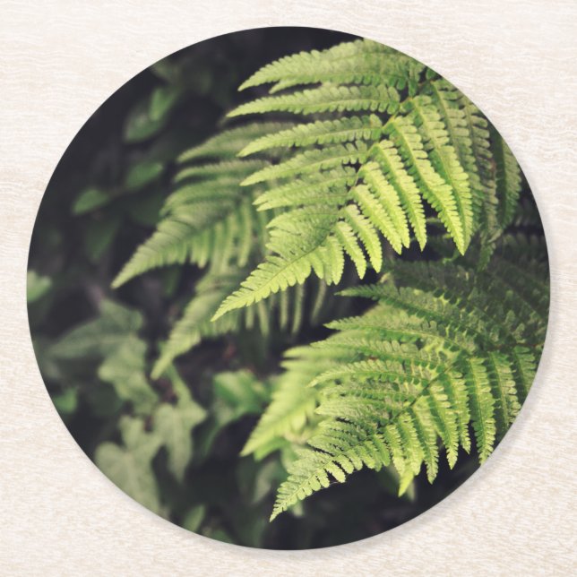 Rustic Green Fern Coasters (Front)