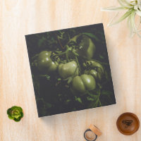 Rustic Green Tomatoes Moody Food Photography