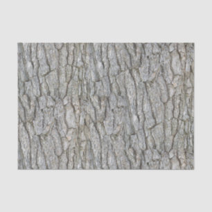 Rustic Grey Tree Bark Tissue Paper