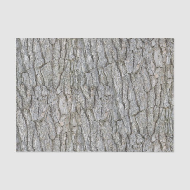 Rustic Grey Tree Bark Tissue Paper (Front)
