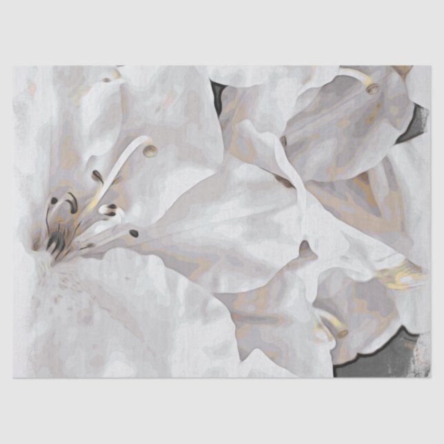 *~* Rustic Grunge Azalea Flowers White Neutral Tissue Paper (Front)