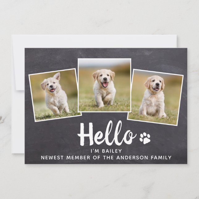 Rustic Hello Photo Collage Puppy Dog New Pet Announcement (Front)