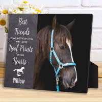 Rustic Horse Equestrian Keepsake Horse Memorial