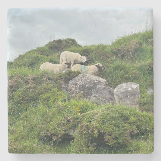 Rustic Ireland Three Irish Sheep Stone Coaster