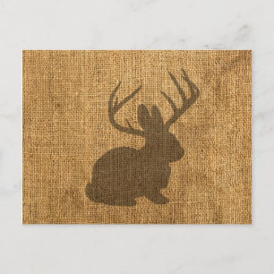 Rustic Jackalope Postcard
