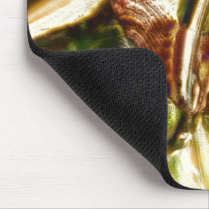 Rustic 'knotted wood stump cutout magnification'   mouse pad