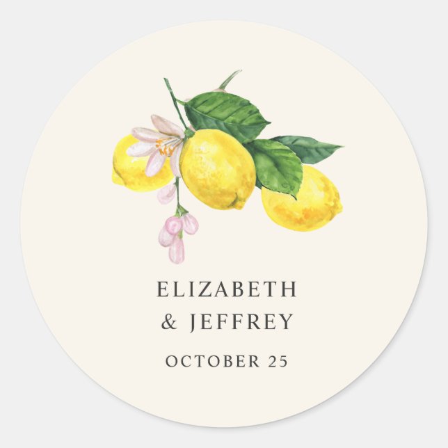 Rustic Lemon Citrus Boho Summer Wedding Classic Round Sticker (Front)