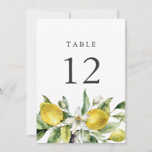Rustic Lemons Citrus 5x7 Table Number Cards