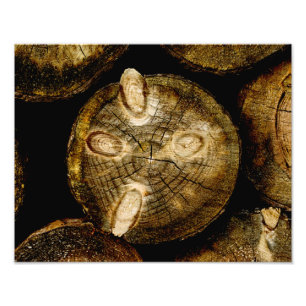 Rustic Log Roll Photo Print