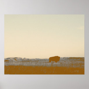 Rustic Lone Buffalo Photo From The Badlands Poster