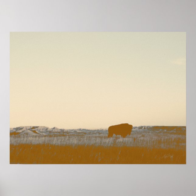 Rustic Lone Buffalo Photo From The Badlands Poster (Front)