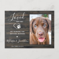 Rustic Loved Her First Pet Wedding Dog Engagement 