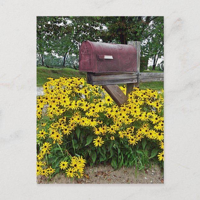 Rustic Mailbox Art Postcard (Front)