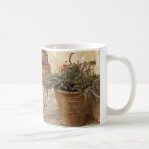 Rustic Mediterranean Cacti Plant Pots Mug
