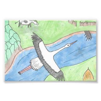 "Rustic motifs" Photo Print