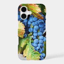 Rustic Napa Valley Wine Country Merlot Case